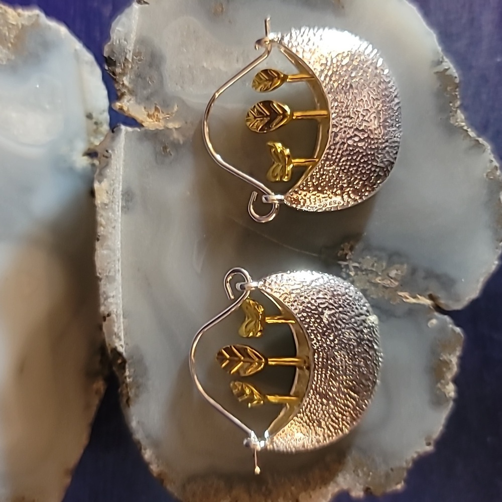 Hoop type earrings